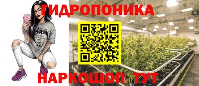 гашиш Новокубанск
