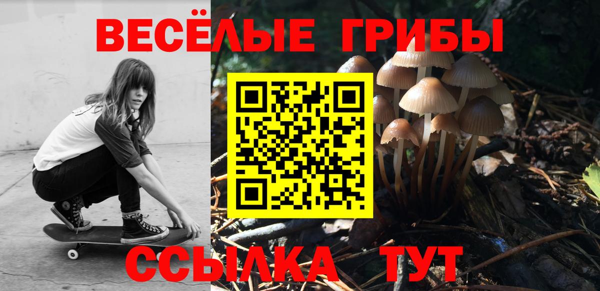 Галлюциногенные грибы MAGIC MUSHROOMS  Вход с VPN  Пушкино 