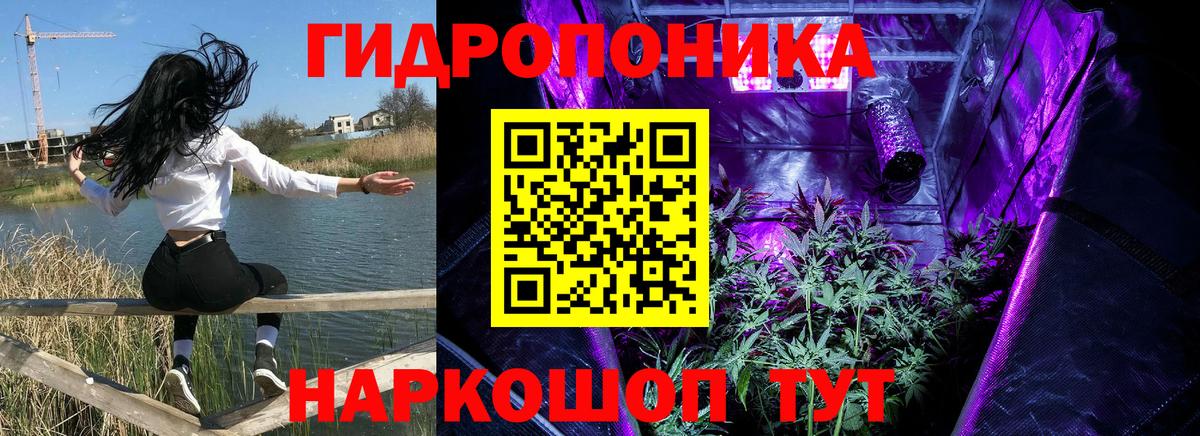 Конопля Bruce Banner Пушкино